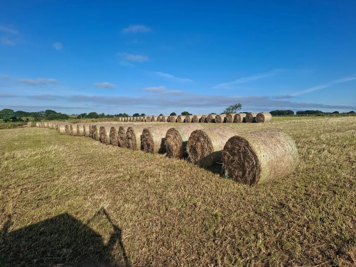 Hay round bales