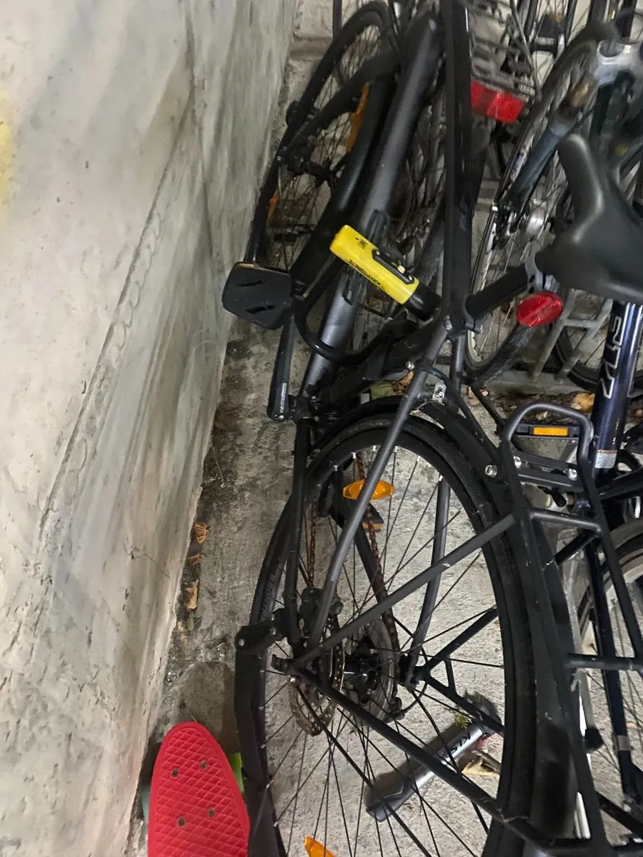 trek bike