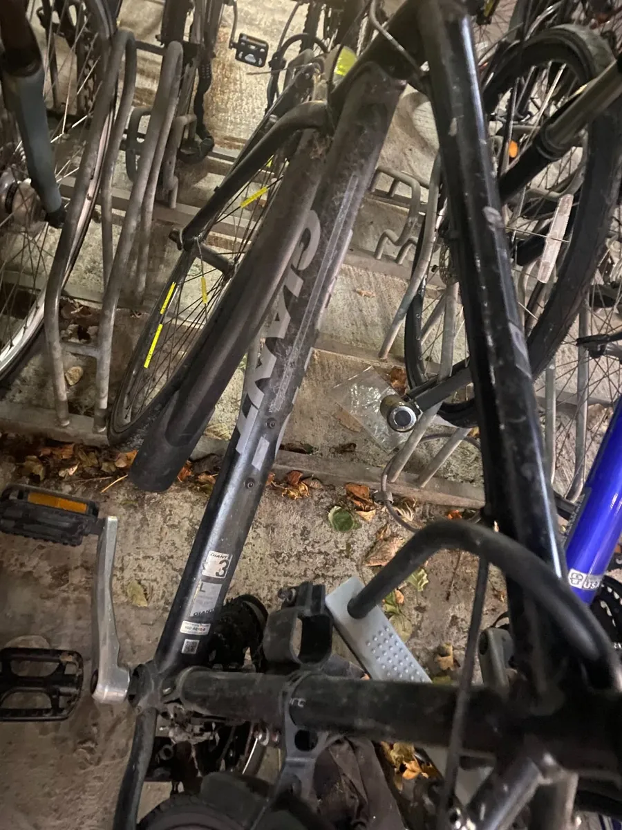 giant bike