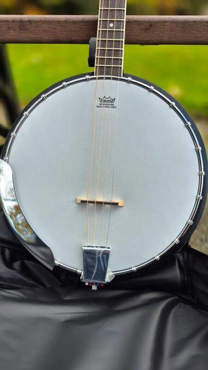 Irish Tenor Banjo - Image 2