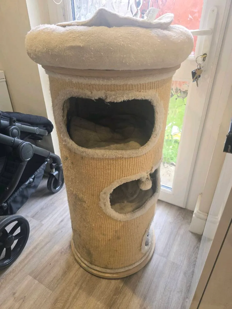 FREE Cat Barrel