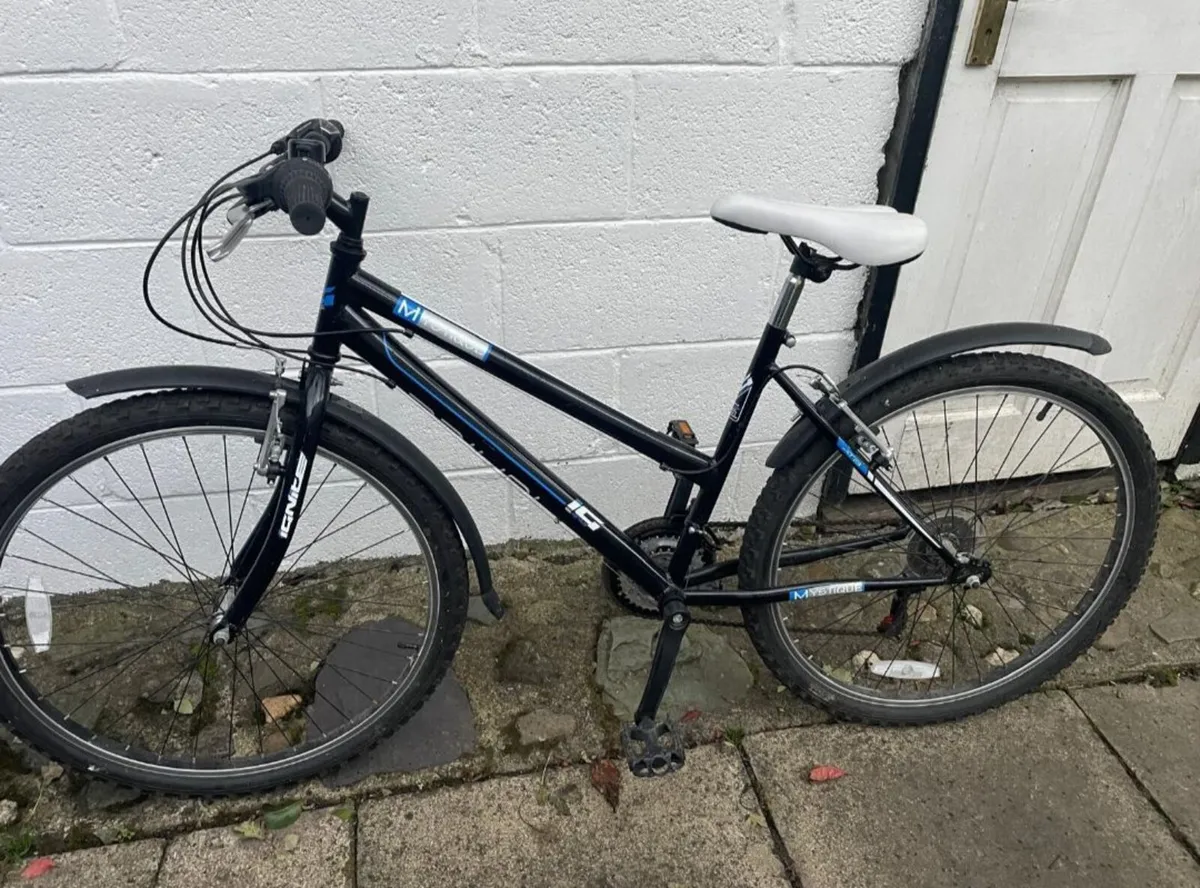 Bicycle - Image 1