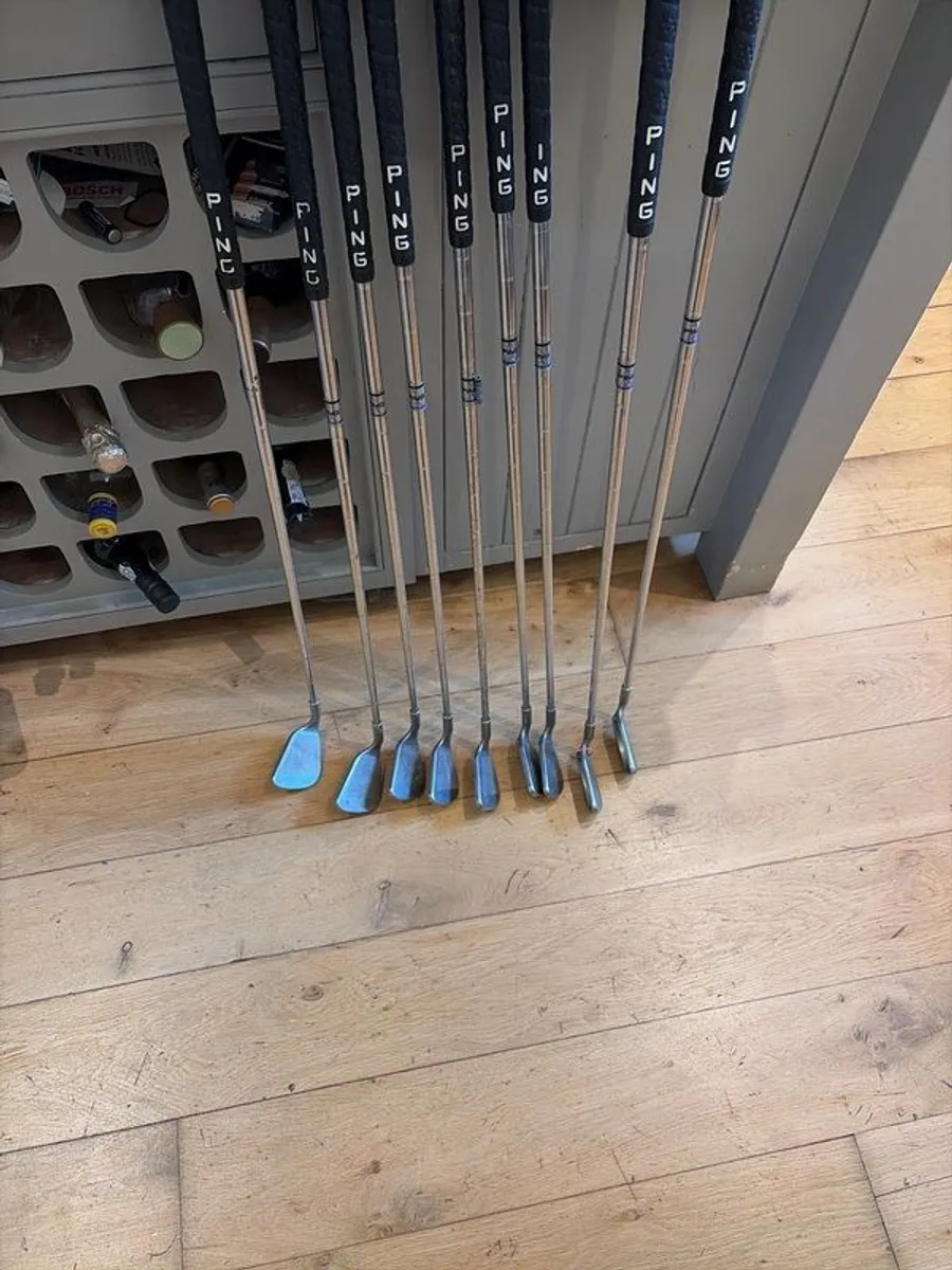 ping eye 2 - Image 1