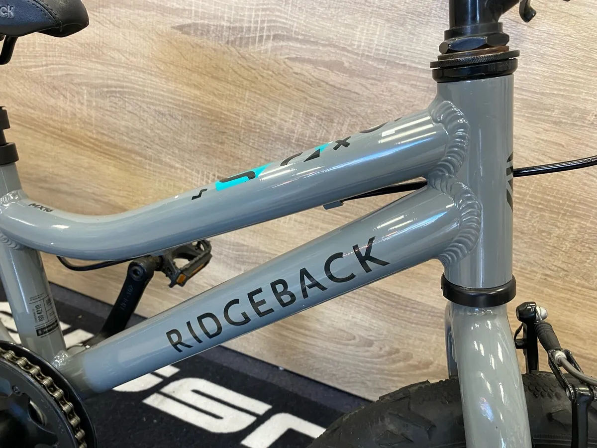Ridgeback  MX16 - Image 3