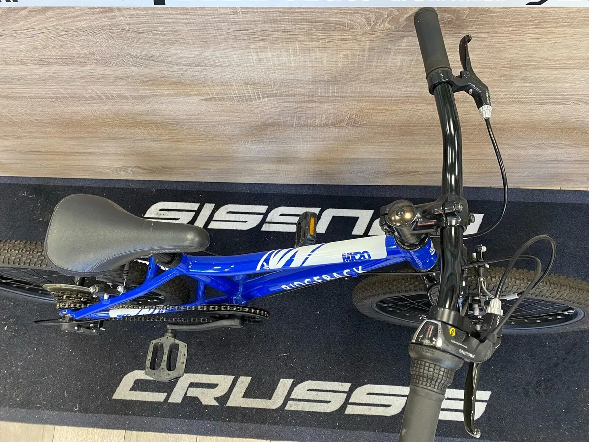 Ridgeback MX 20 - Image 3