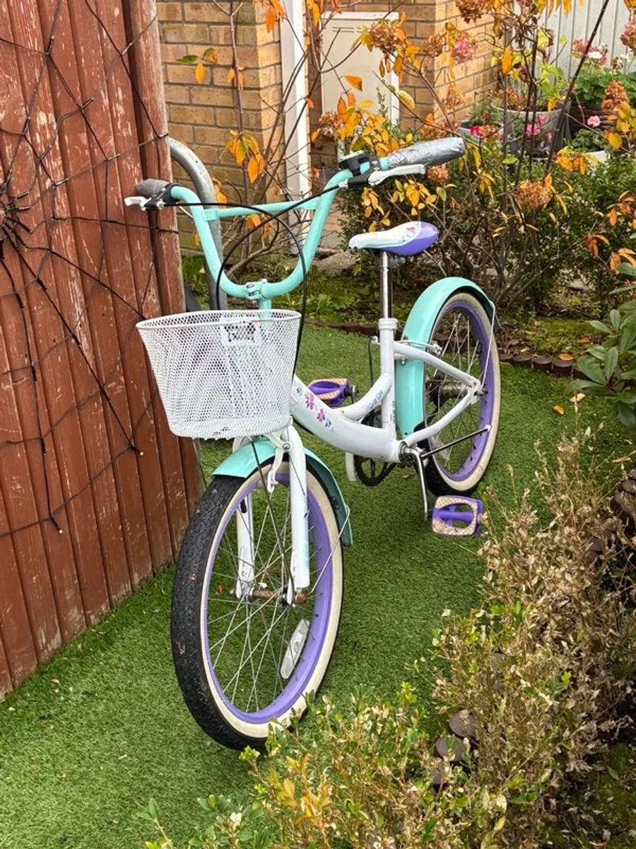 Bicycle and Gym High Bar - Image 1