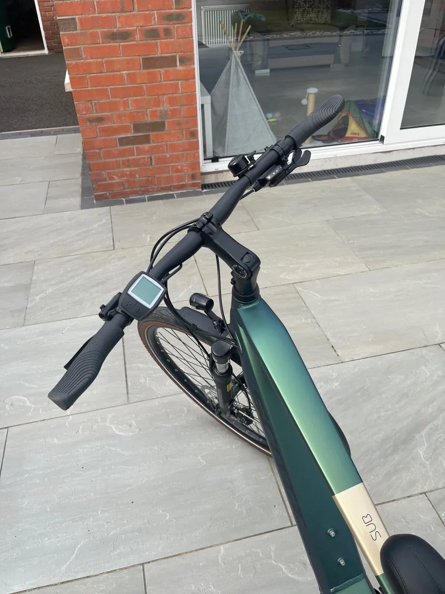 Ebike - Image 1