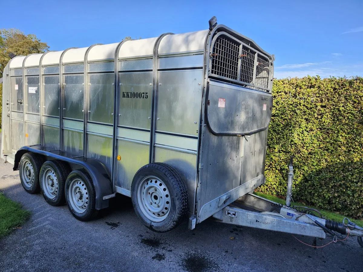 Ifor Williams Livestock Trailer - Image 2