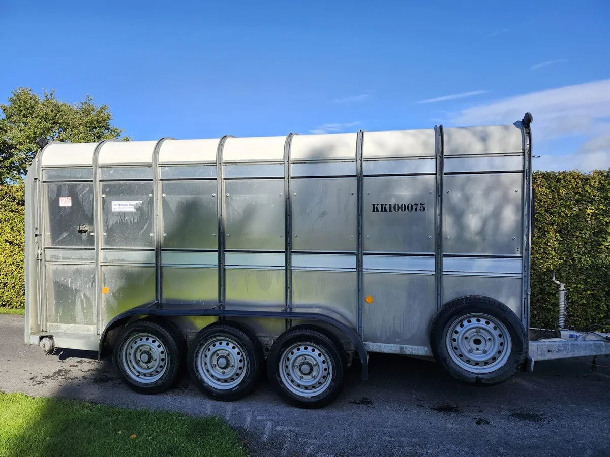 Ifor Williams Livestock Trailer - Image 3