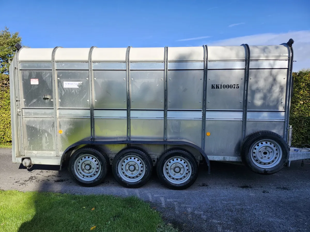 Ifor Williams Livestock Trailer - Image 4