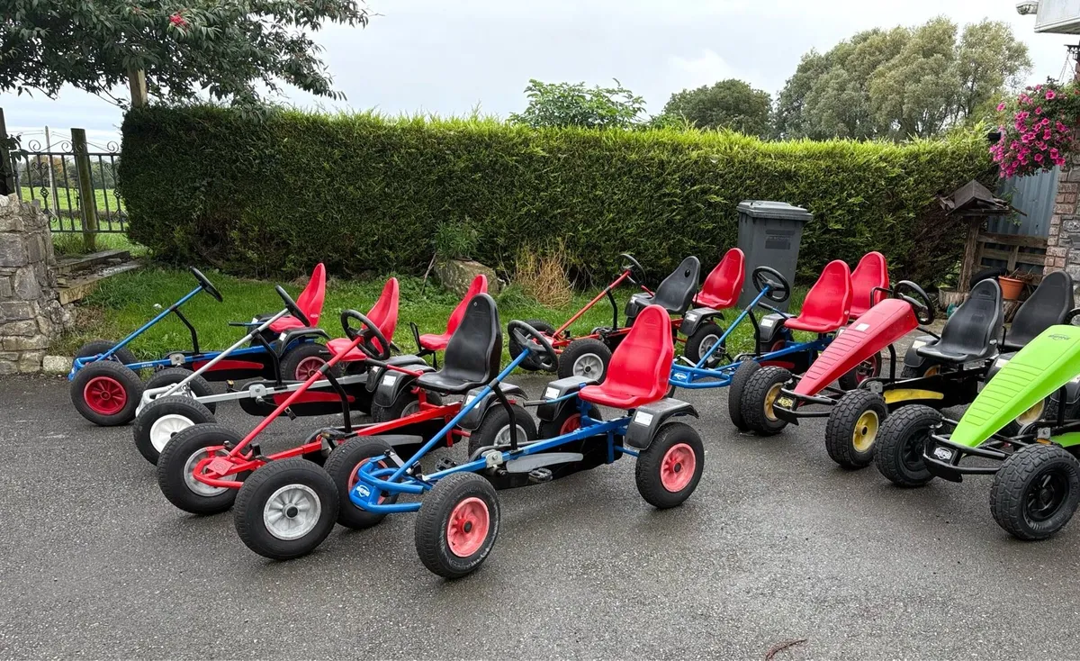 Berg go carts - Image 3