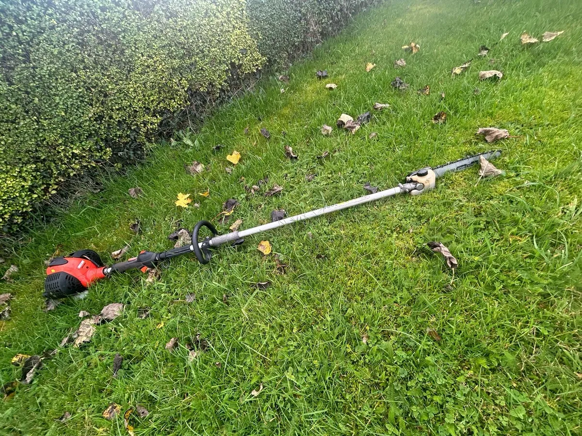 ECHO PAS-266ES Long Reach Hedge Trimmer - Image 1