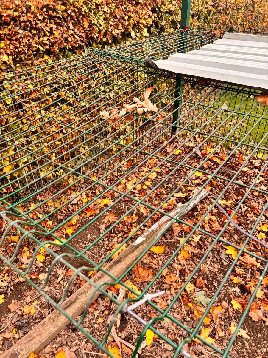 Green fencing and poles - Image 2