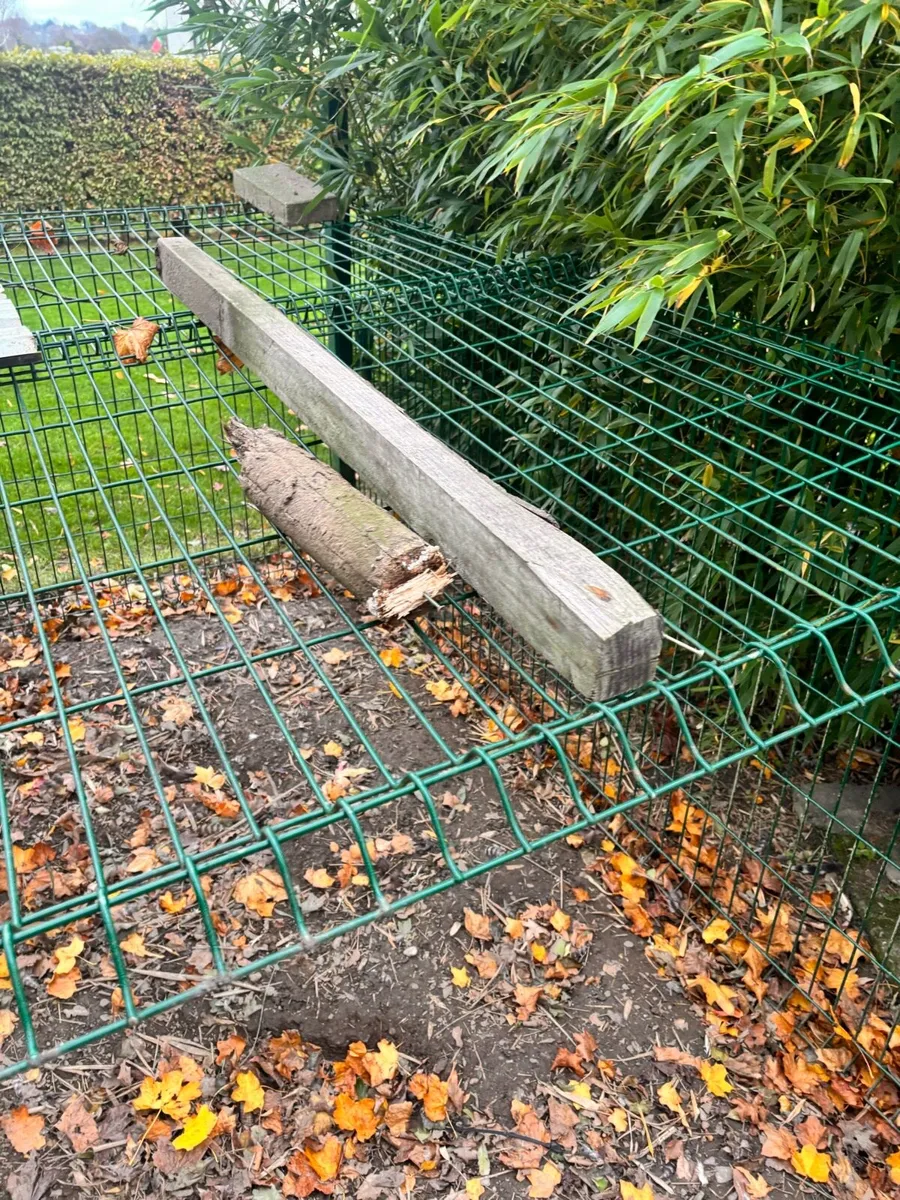 Green fencing and poles - Image 3