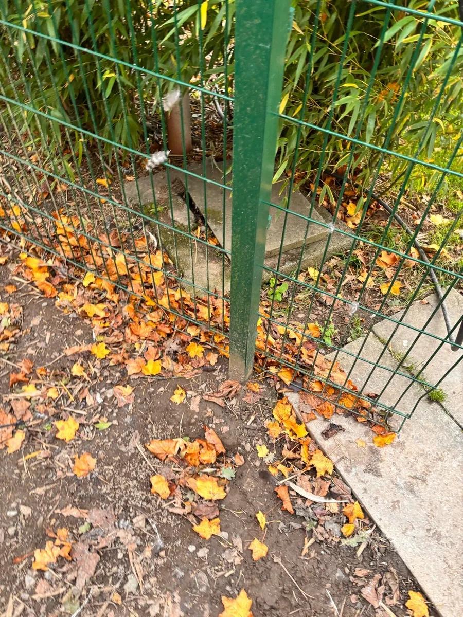Green fencing and poles - Image 4