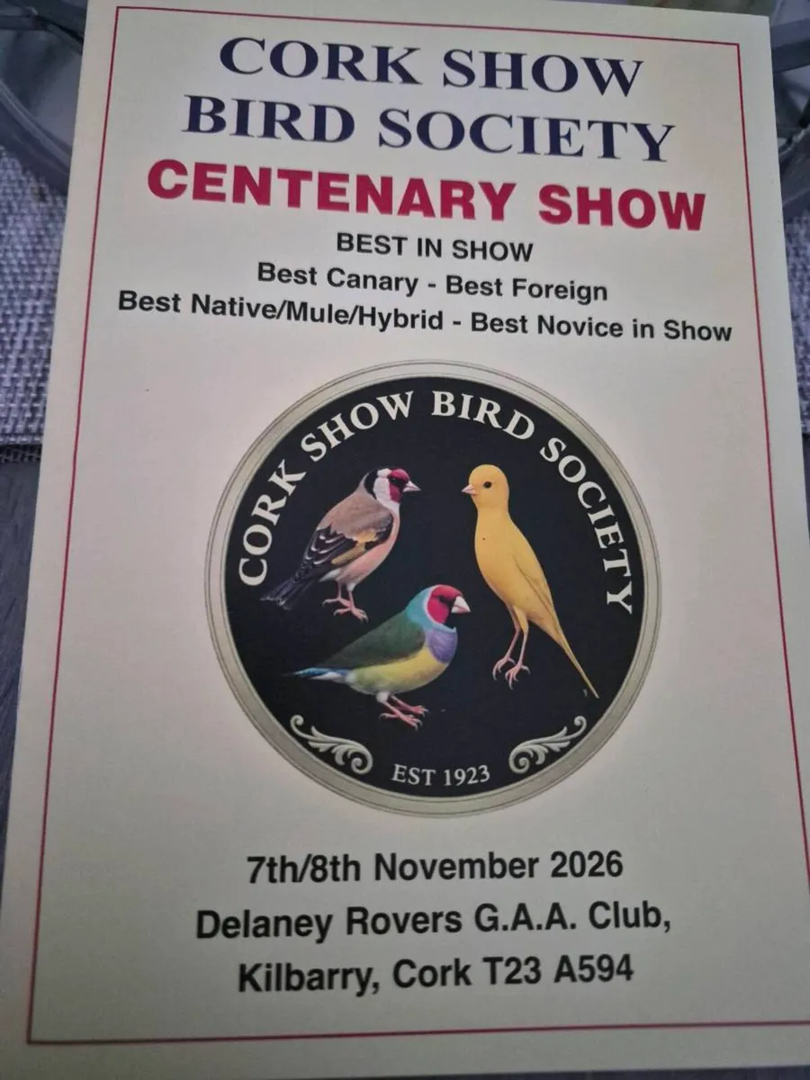 Bird show - Image 1