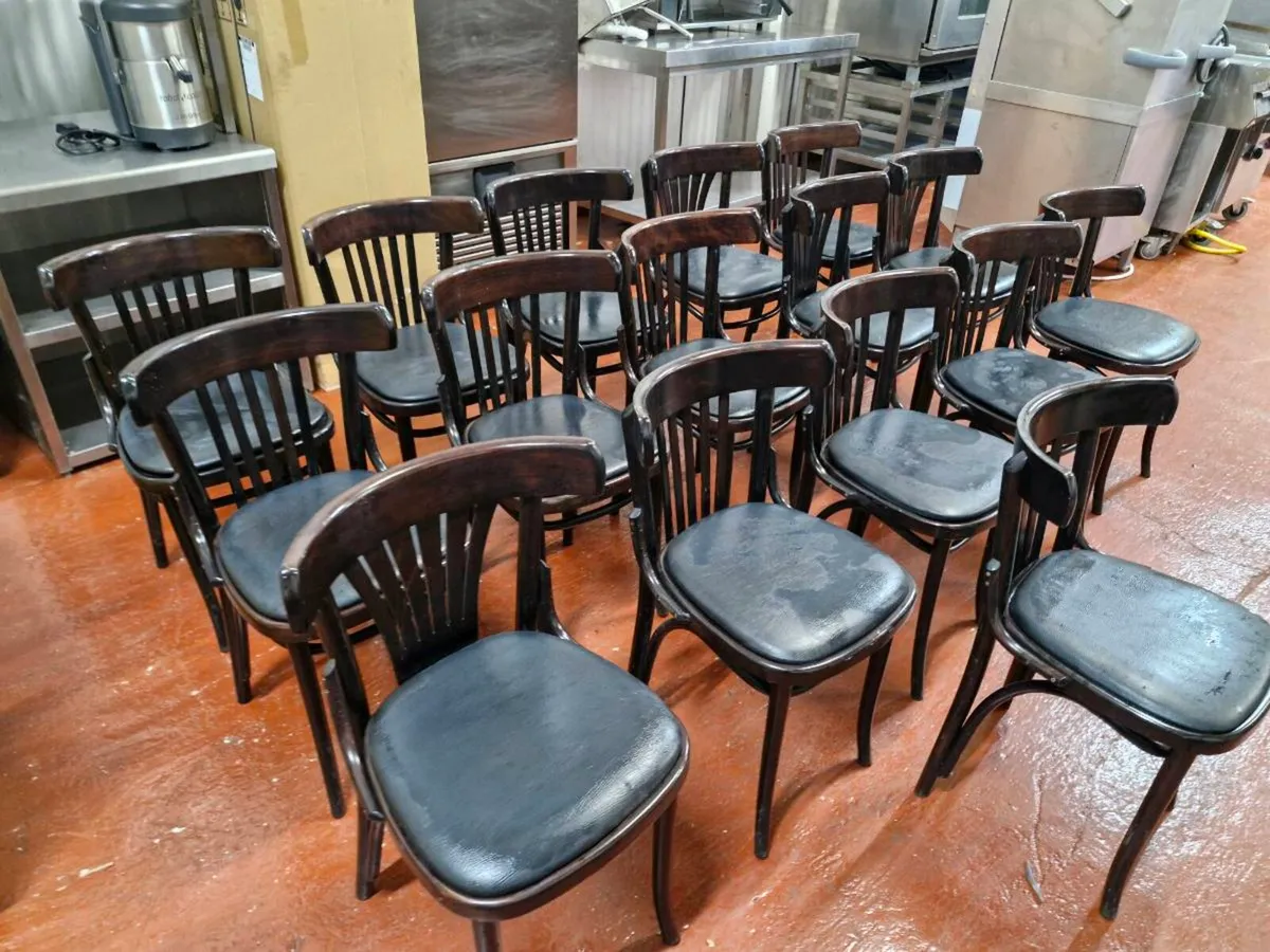 Fameg Bentwood Chairs with Leather Base (16) - Image 4