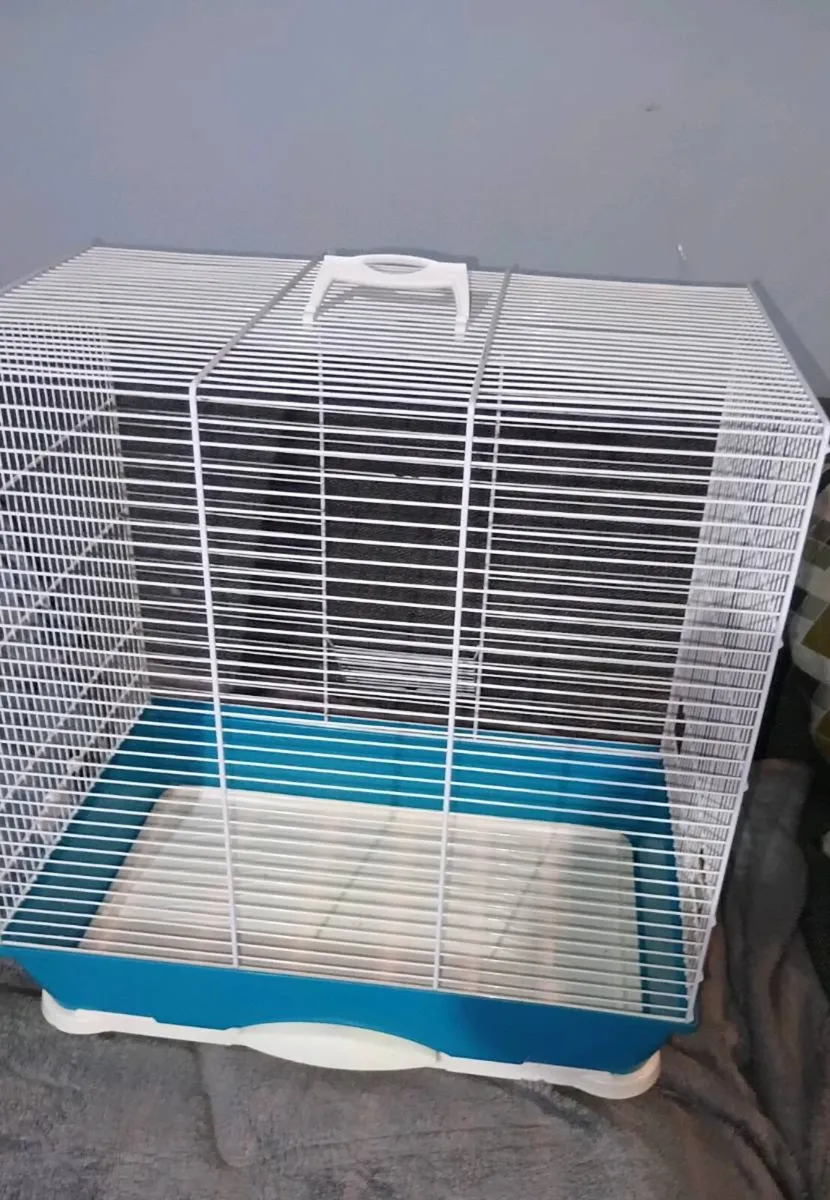 BIRD CAGE - Image 1