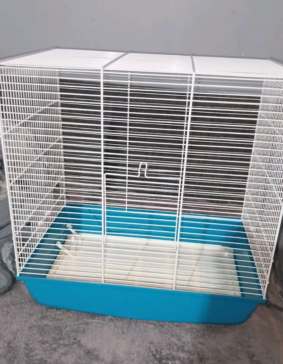 BIRD CAGE - Image 3