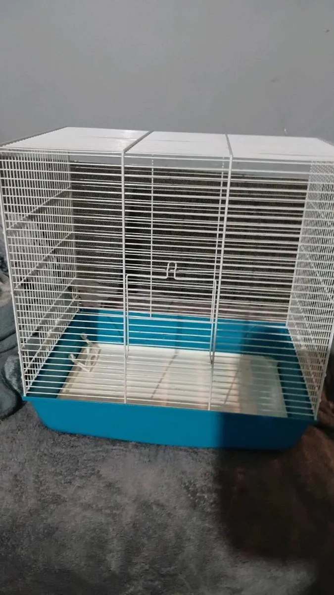 BIRD CAGE - Image 4