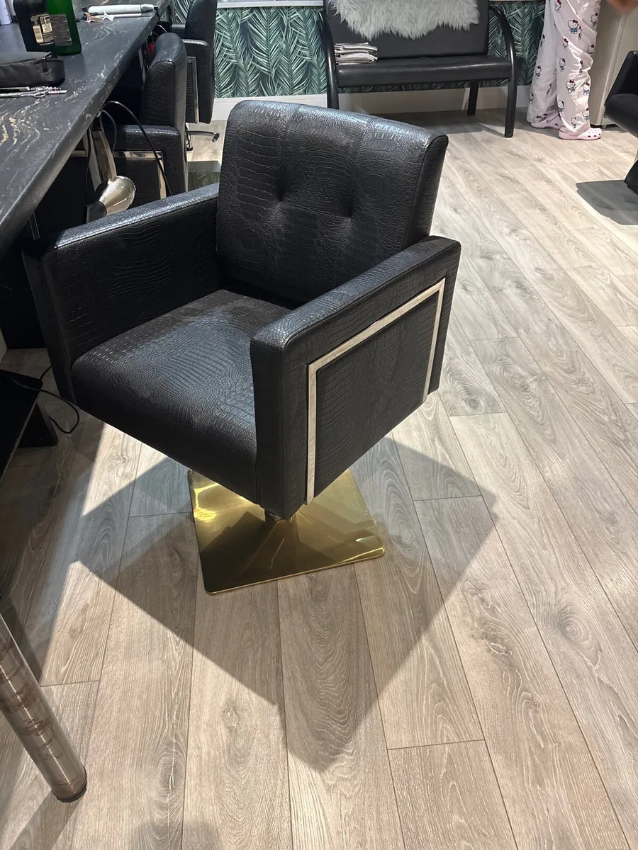 Salon chair - Image 1