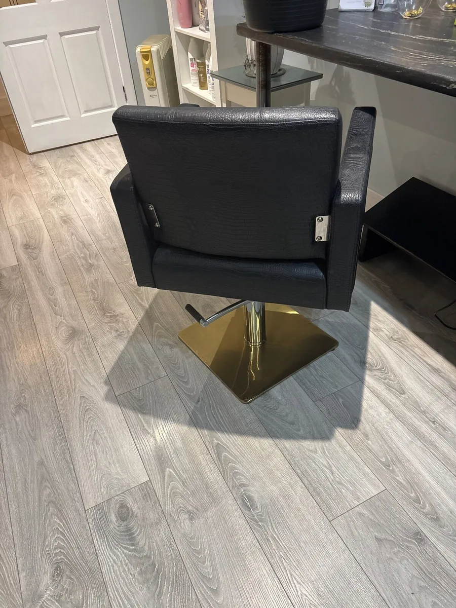 Salon chair - Image 2
