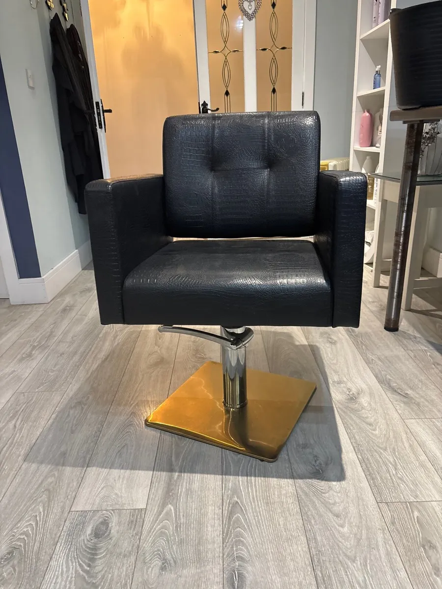 Salon chair - Image 3