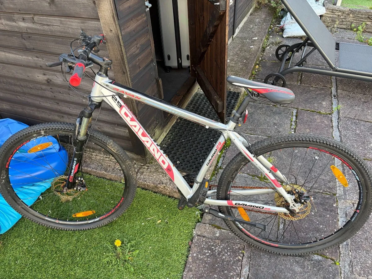 Bike - Image 2