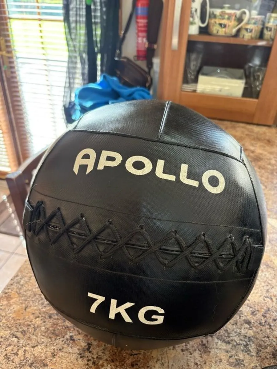 Wall Ball (apollo Branded!!) + Slam Ball Collection, Cheap!! - Image 2