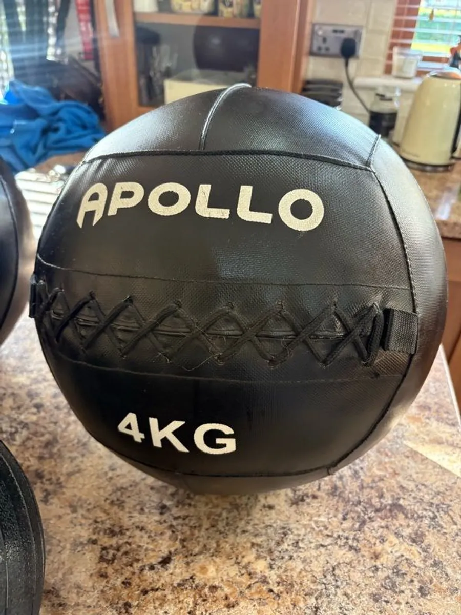 Wall Ball (apollo Branded!!) + Slam Ball Collection, Cheap!! - Image 3
