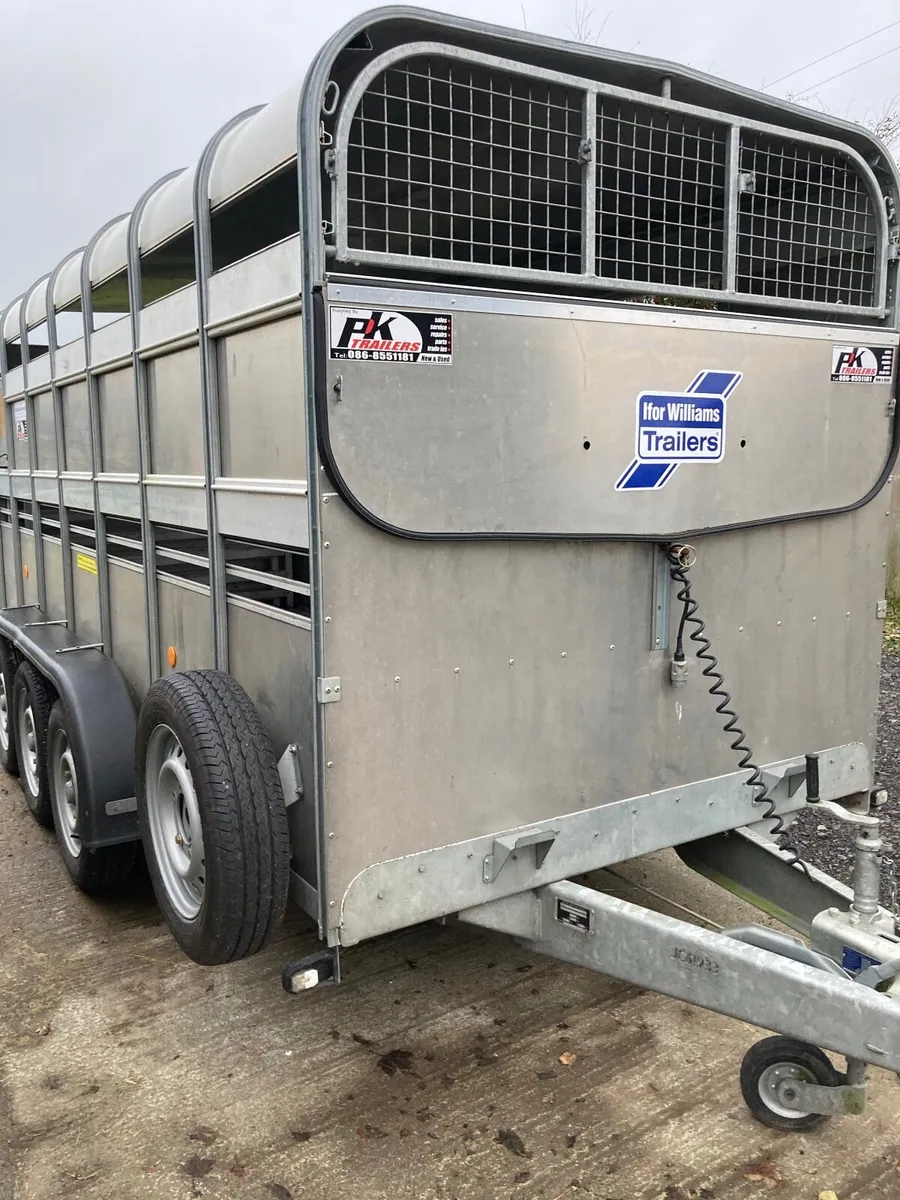 Ifor  Williams - Image 2
