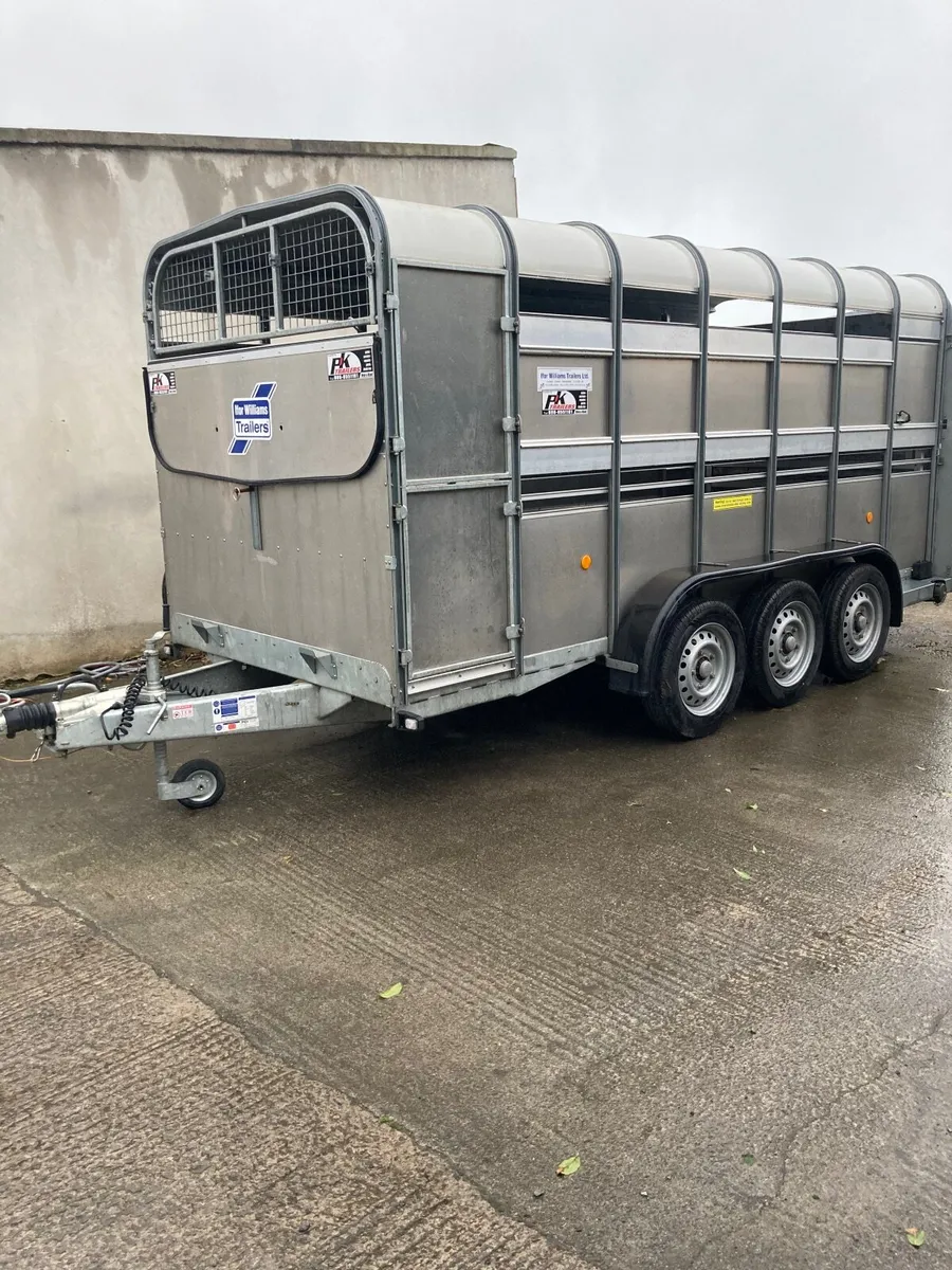 Ifor  Williams - Image 1