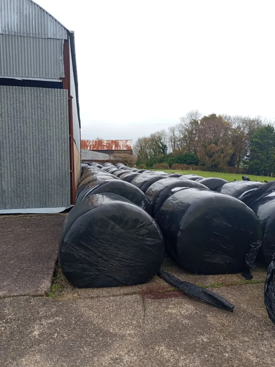 Round Bales - Image 3