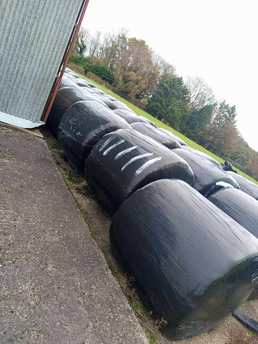 Round Bales - Image 2