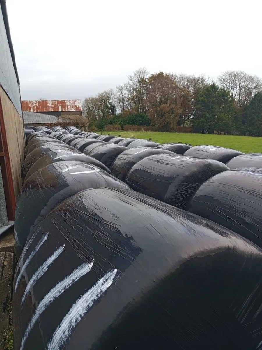 Round Bales - Image 4