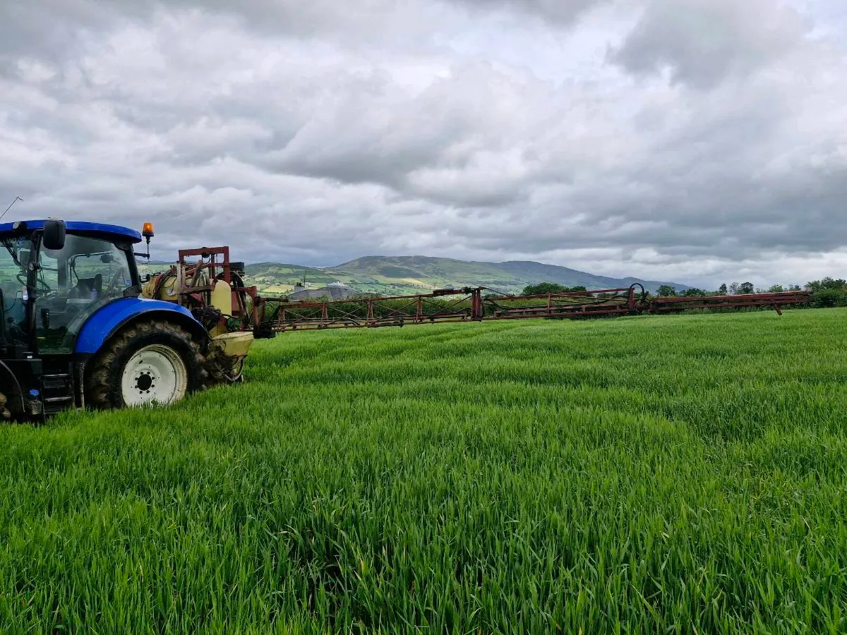 Hardi Sprayer - Image 2