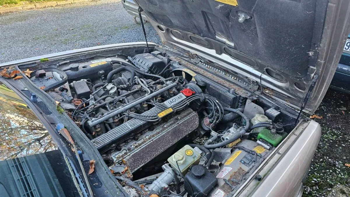 1988 Jaguar XJ6 - Image 3