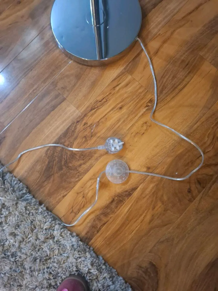 Chrome Floor Lamp - Image 4