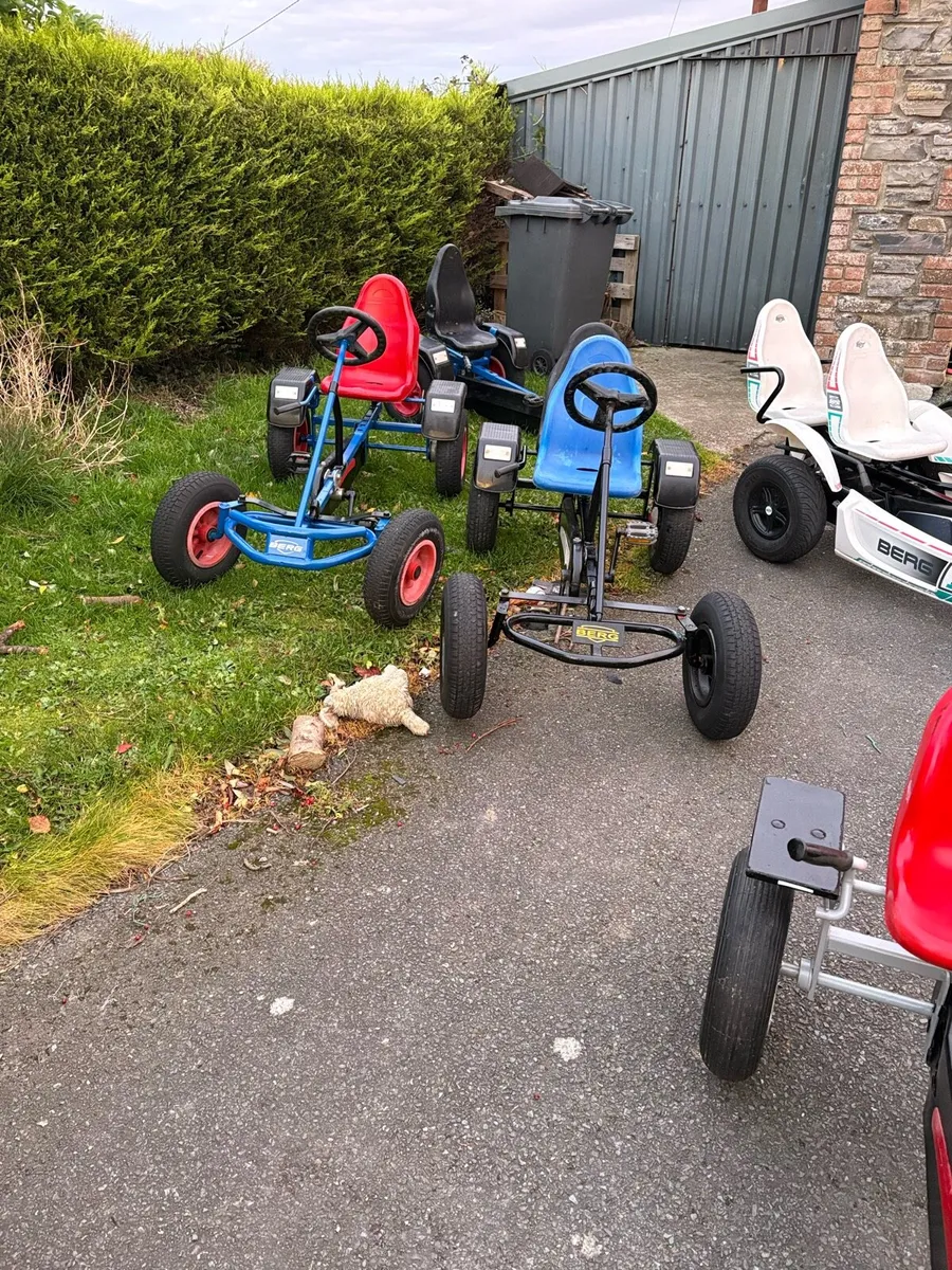 Berg go Karts - Image 2
