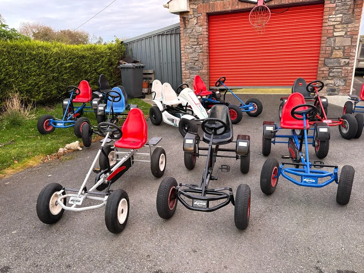 Berg go Karts - Image 1