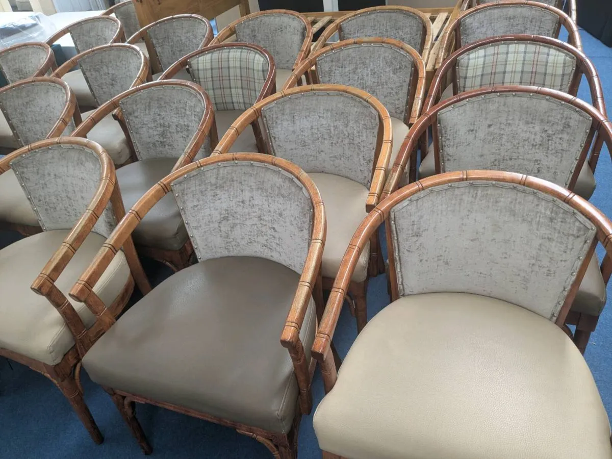 Restaurant Chairs - Image 1