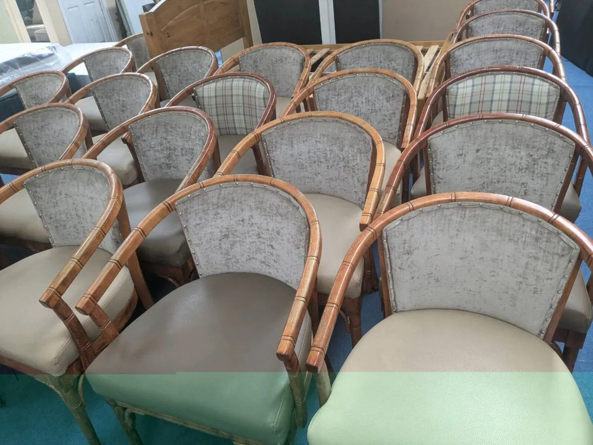 Restaurant Chairs - Image 2