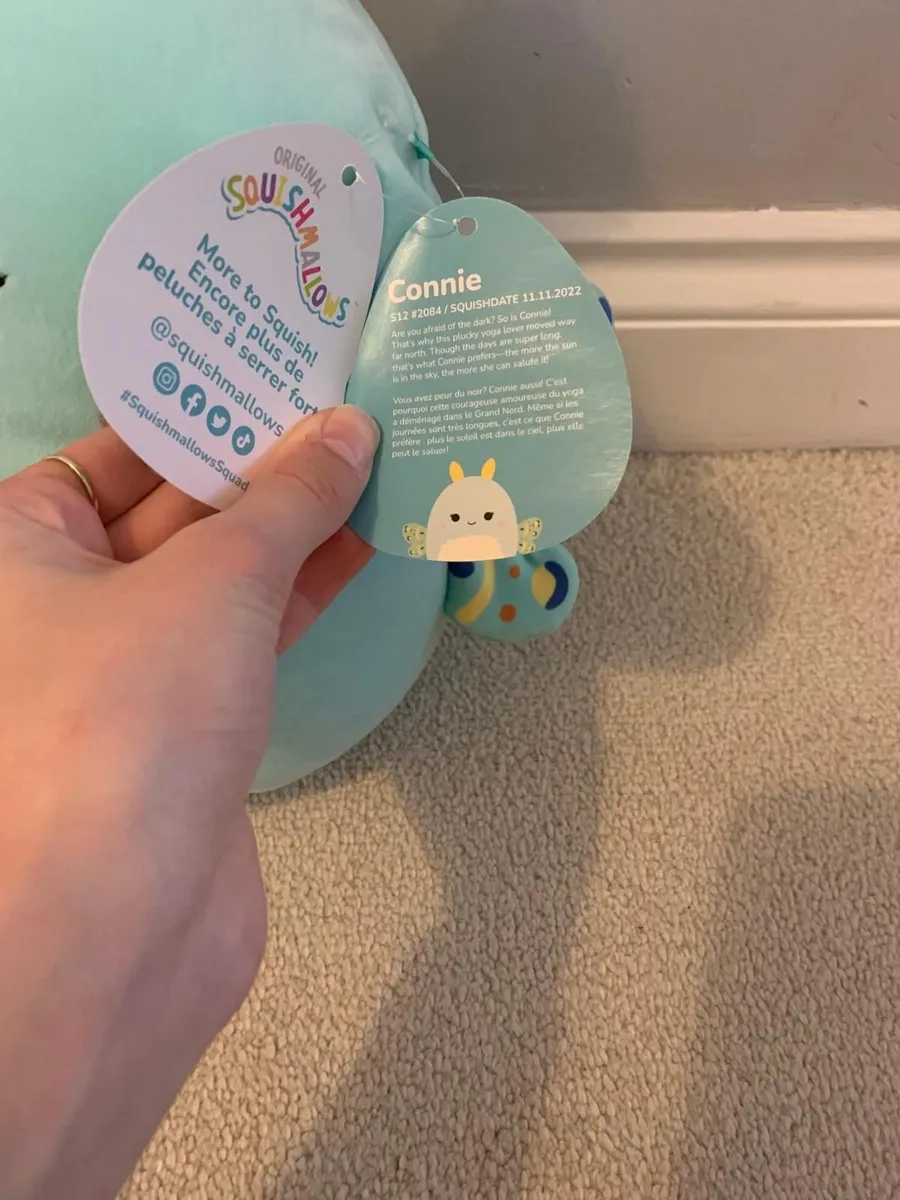Squishmallows - Image 3