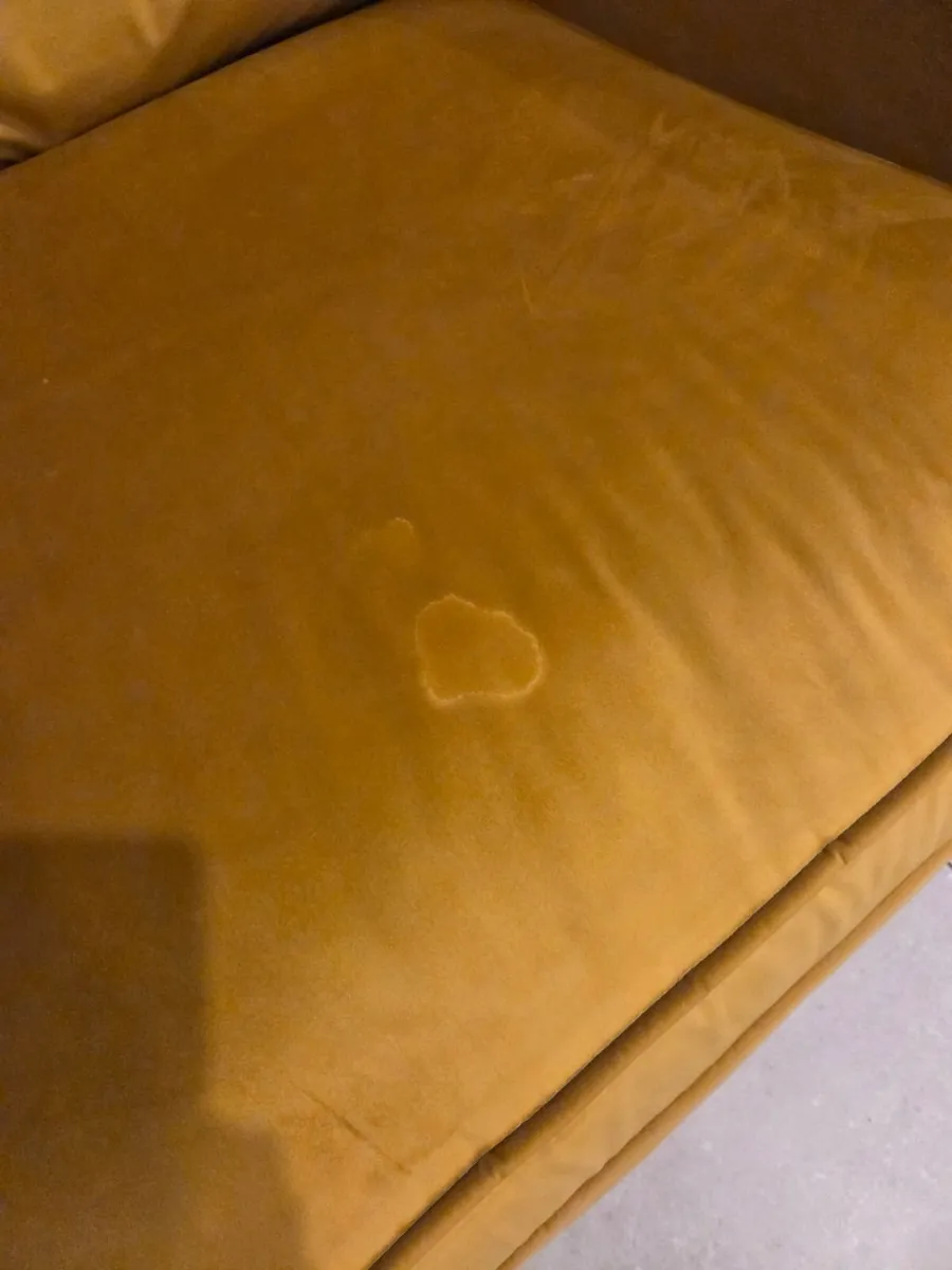 Mustard velvet loveseat / large snuggle chair - Image 2
