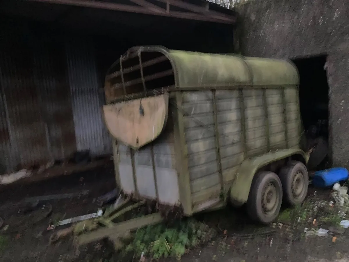 Twin cow trailer - Image 1