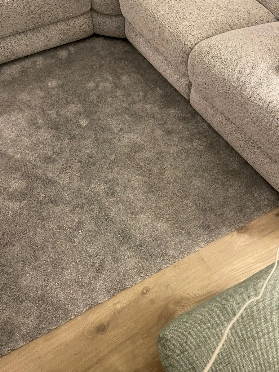 Rug - Image 2