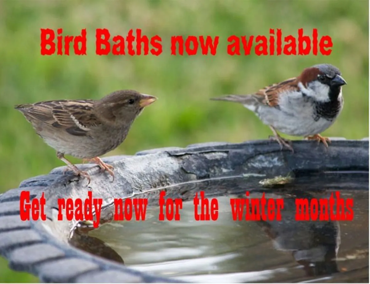Reconstituted Granite Bird Bath large-custom made - Image 2