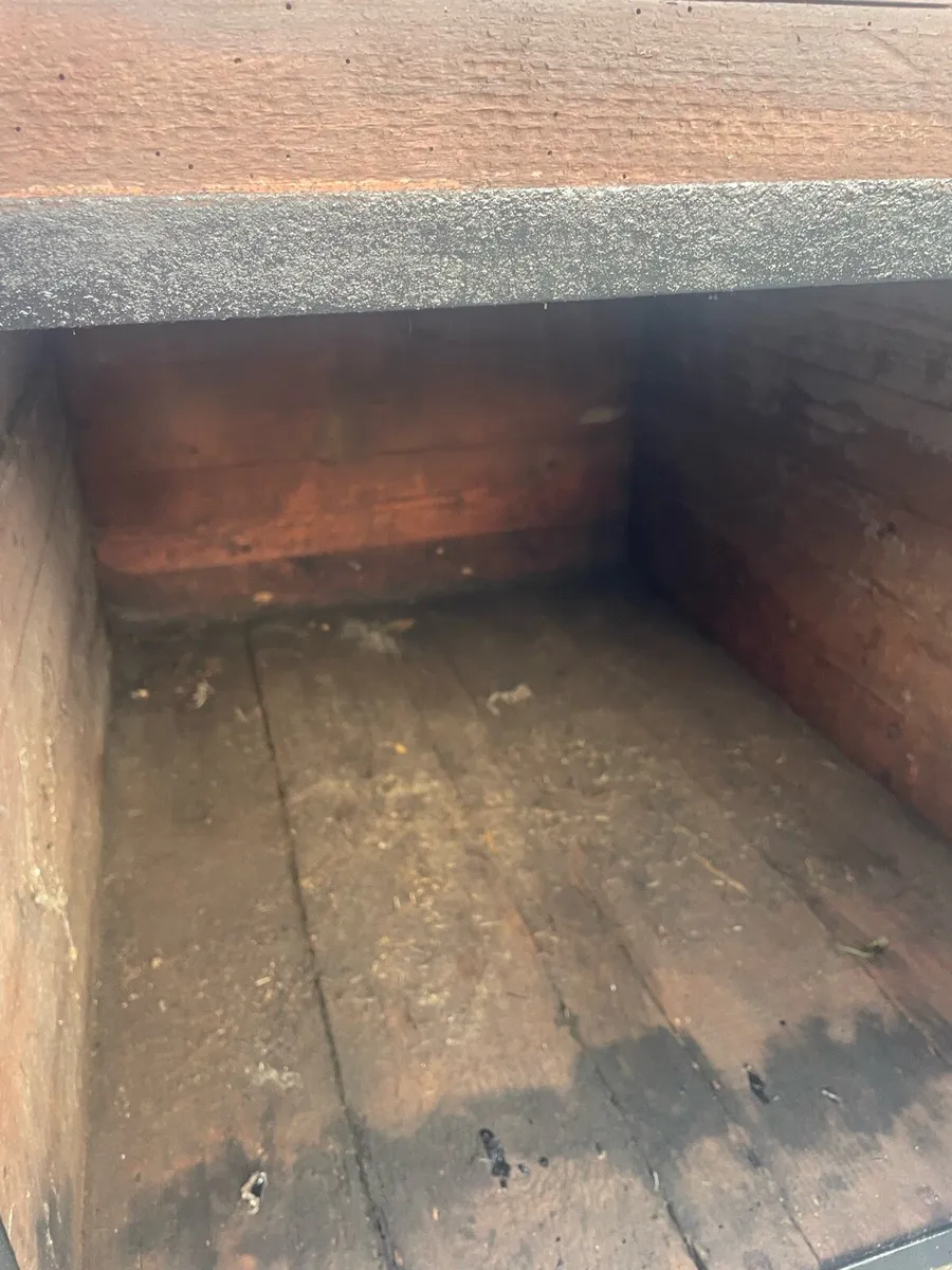 Dog trailer - Image 4