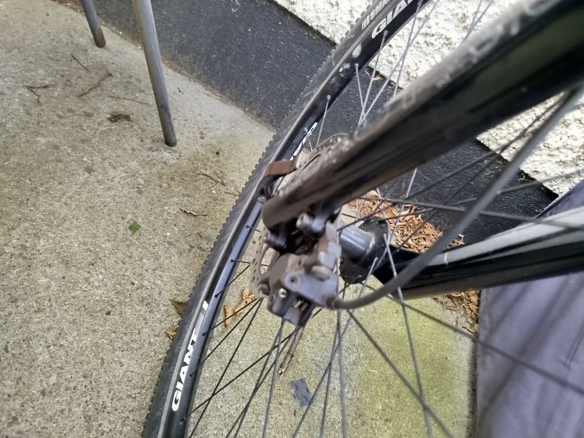 EBike - Image 4