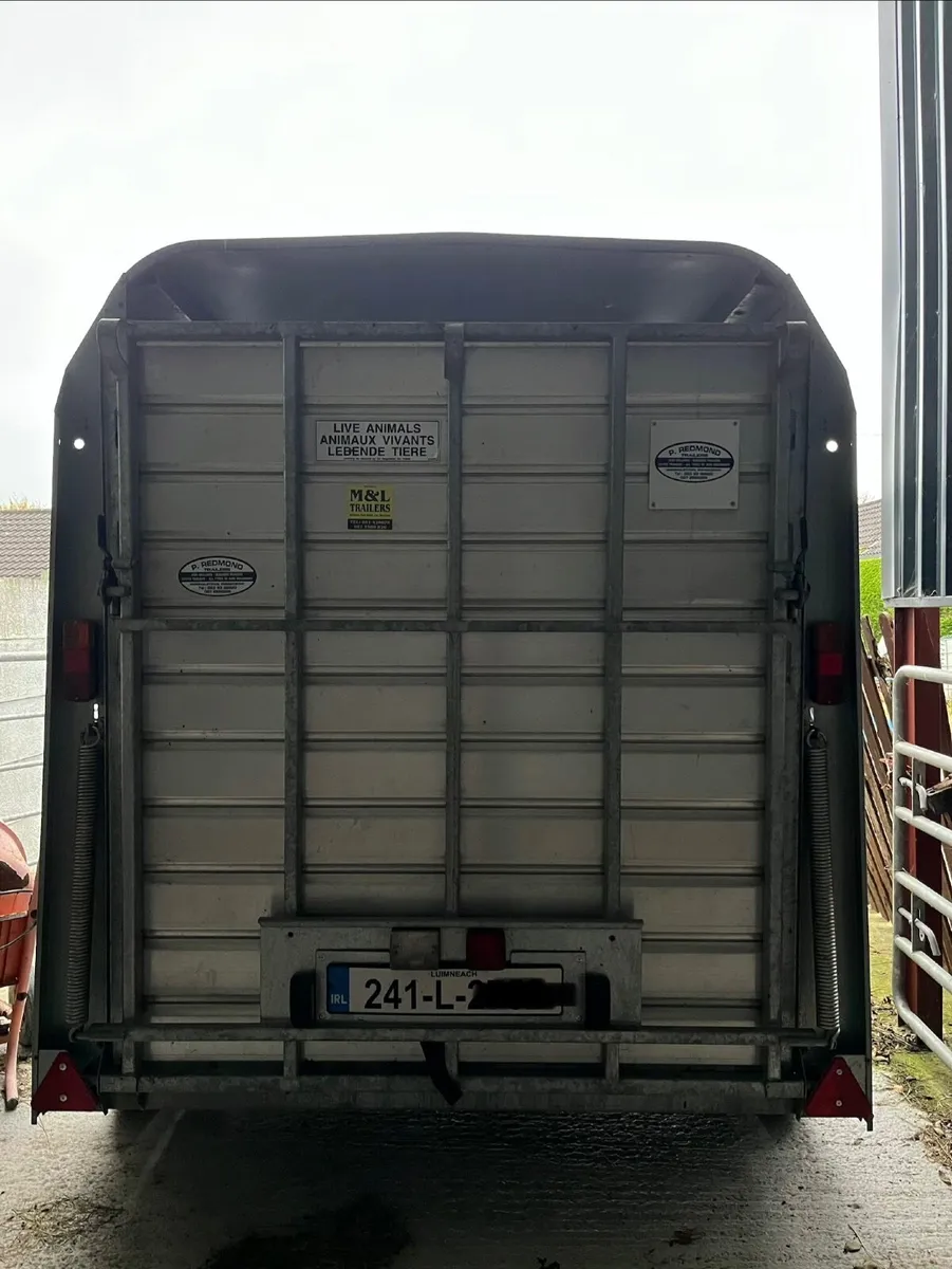 Cattle Box - Image 2